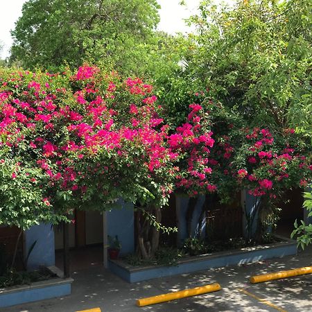 Hotel Hacienda Del Viejo Matamoros  Exterior foto